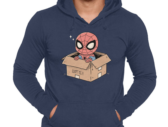 Adopt A Spider