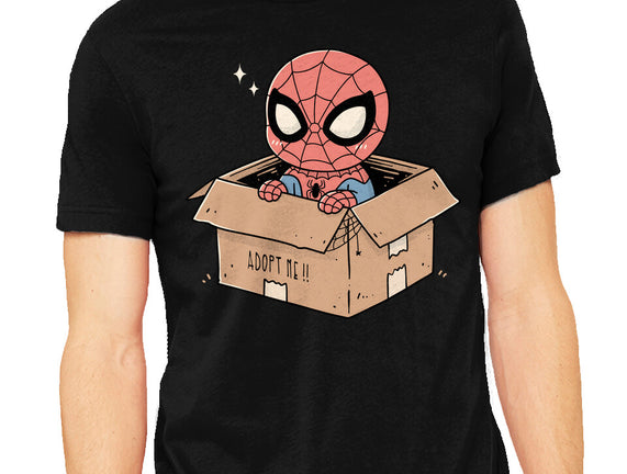 Adopt A Spider