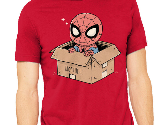 Adopt A Spider
