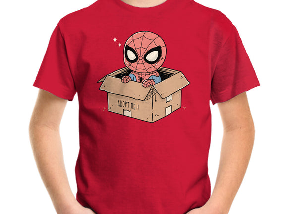 Adopt A Spider