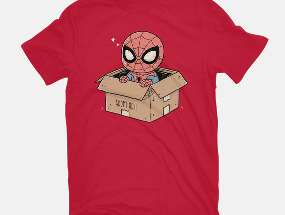 Adopt A Spider