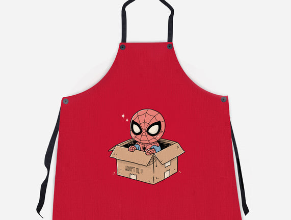 Adopt A Spider