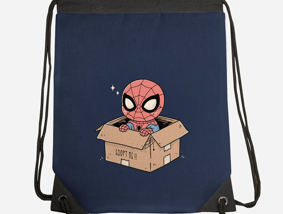 Adopt A Spider