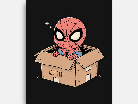 Adopt A Spider