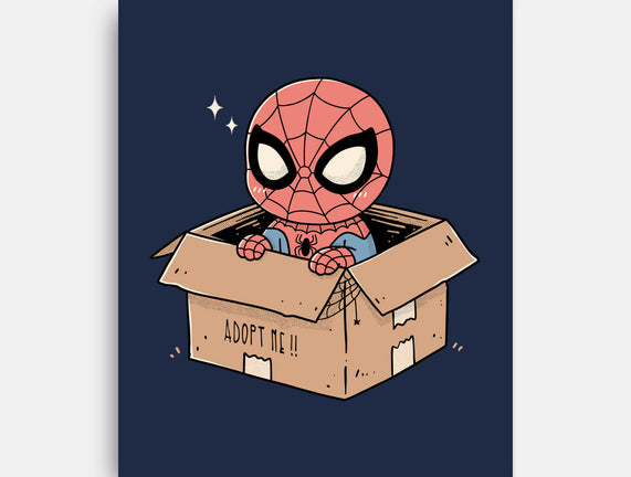 Adopt A Spider