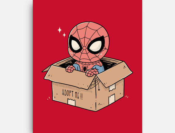 Adopt A Spider