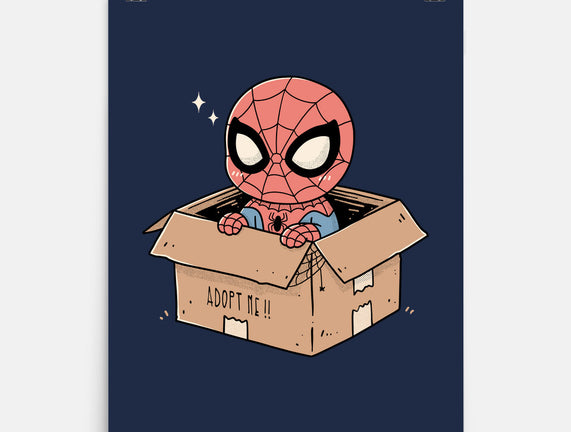 Adopt A Spider
