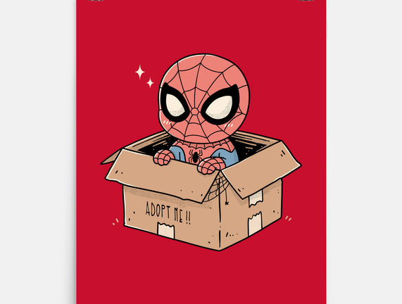 Adopt A Spider