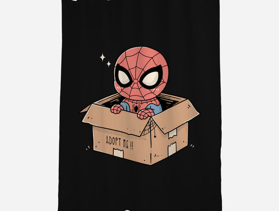 Adopt A Spider