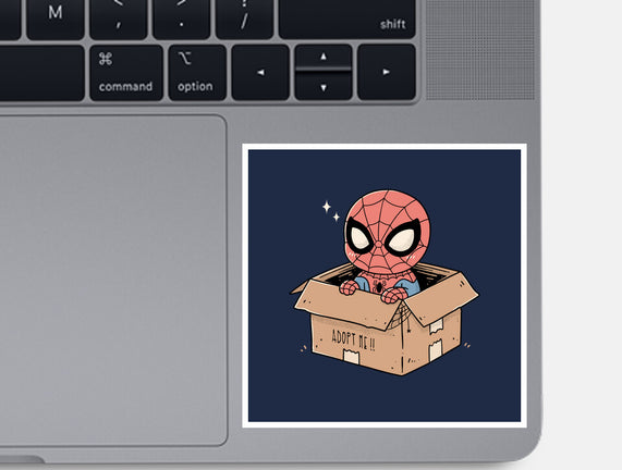 Adopt A Spider