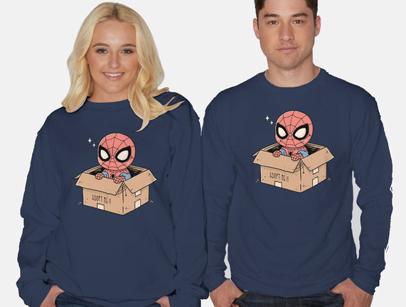 Adopt A Spider