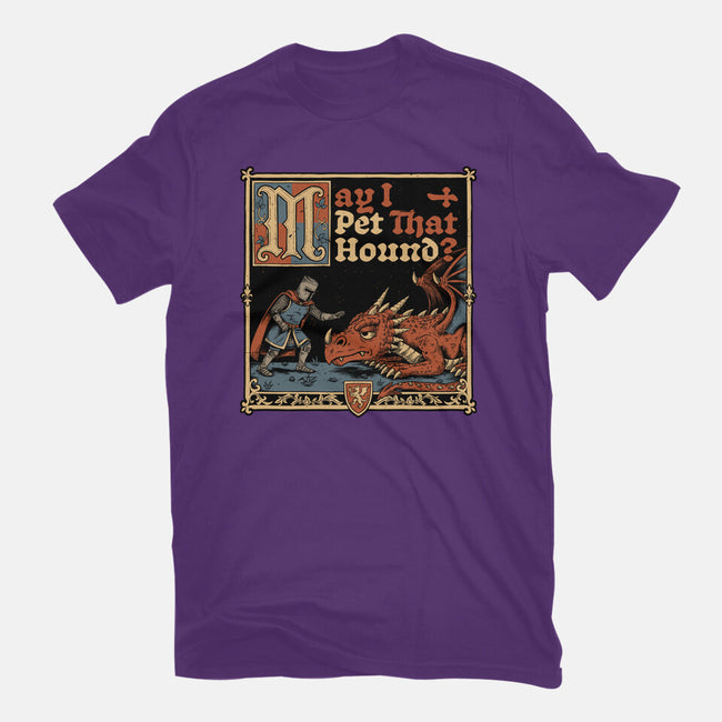 Medieval Meme Pet Dragon-Womens-Fitted-Tee-Studio Mootant