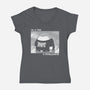 A Pro-Womens-V-Neck-Tee-pigboom
