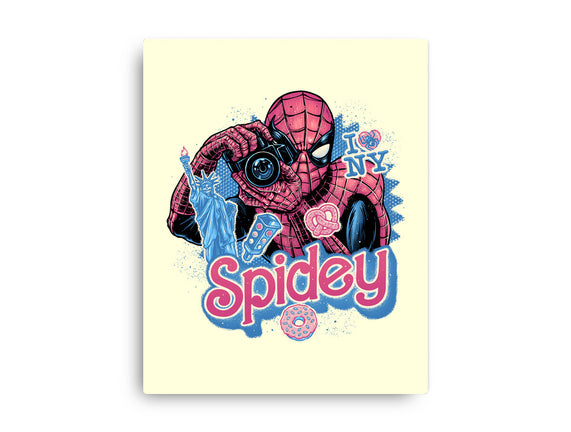Spidey In New York City