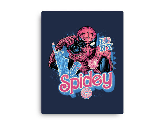 Spidey In New York City