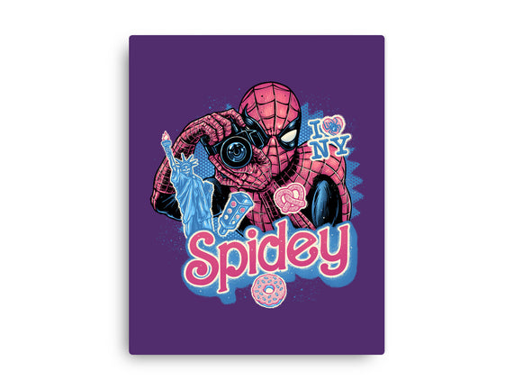 Spidey In New York City