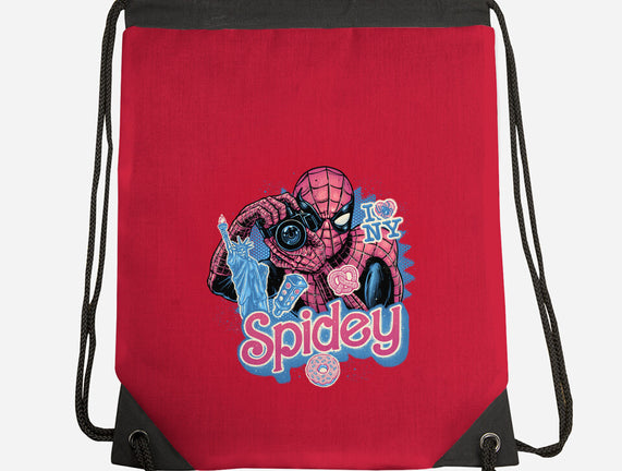 Spidey In New York City