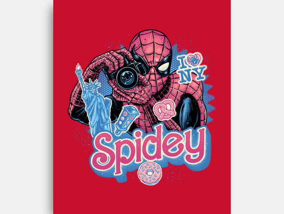 Spidey In New York City