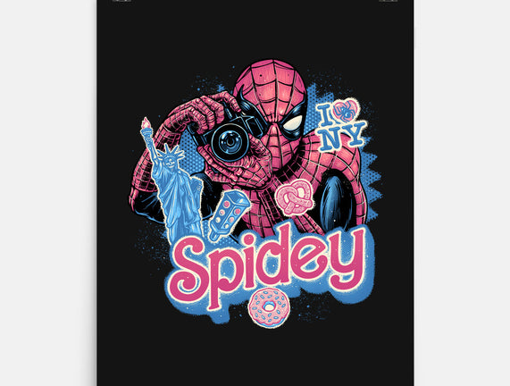 Spidey In New York City