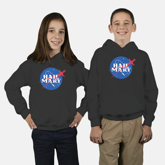 Saving The Sun-Youth-Pullover-Sweatshirt-mekazoo