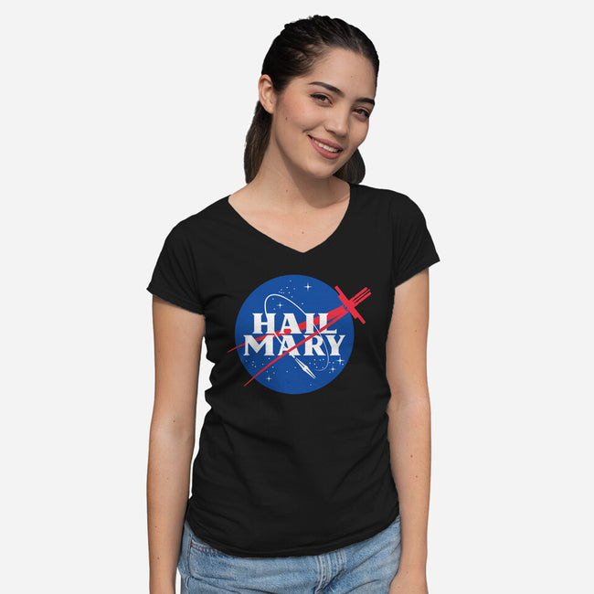 Saving The Sun-Womens-V-Neck-Tee-mekazoo