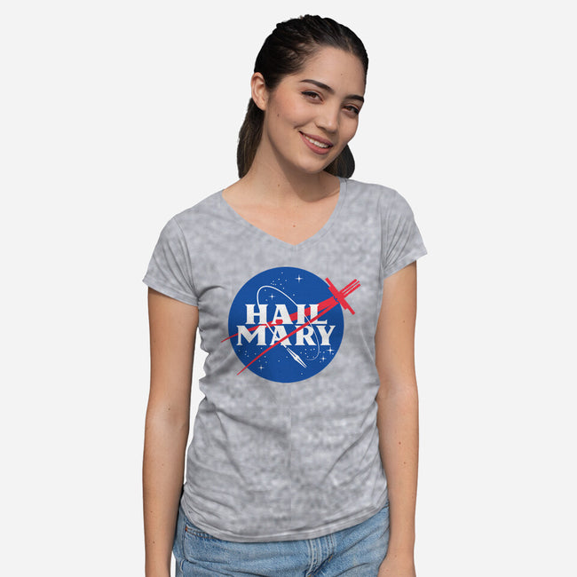 Saving The Sun-Womens-V-Neck-Tee-mekazoo