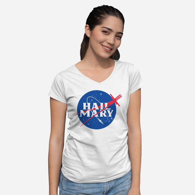 Saving The Sun-Womens-V-Neck-Tee-mekazoo