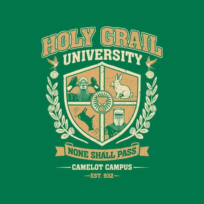 Holy Grail University-Mens-Basic-Tee-NMdesign