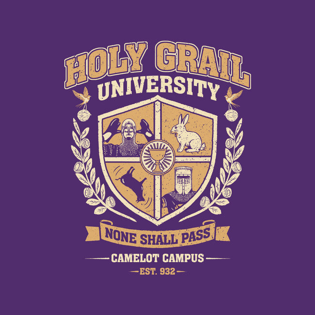 Holy Grail University-Mens-Basic-Tee-NMdesign
