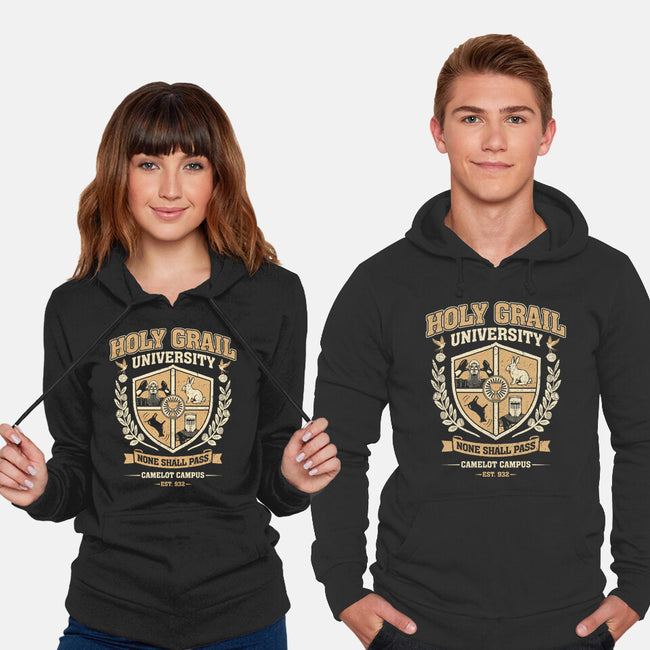 Holy Grail University-Unisex-Pullover-Sweatshirt-NMdesign