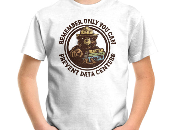 Only You Can Prevent Data Centers