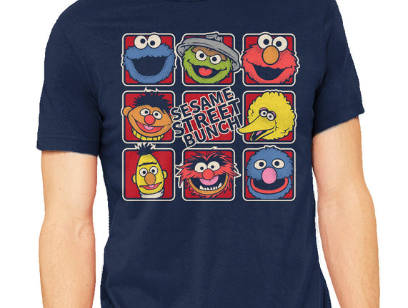 Sesame Street Bunch