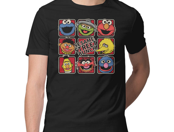 Sesame Street Bunch