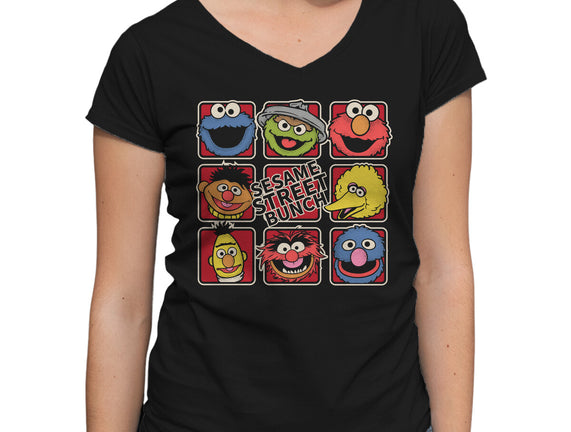 Sesame Street Bunch