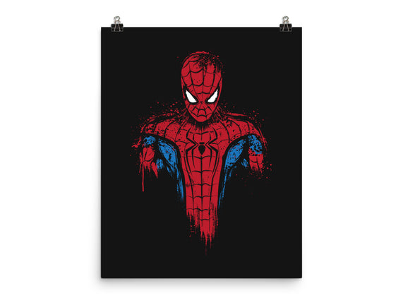 A New Day Spider