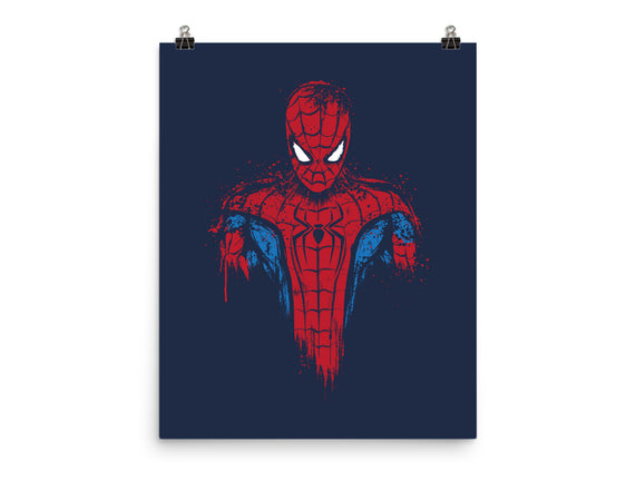 A New Day Spider