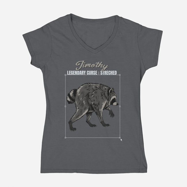 Jimothy Streched-Womens-V-Neck-Tee-joerawks