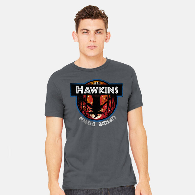 Upside Down State-Mens-Heavyweight-Tee-dandingeroz