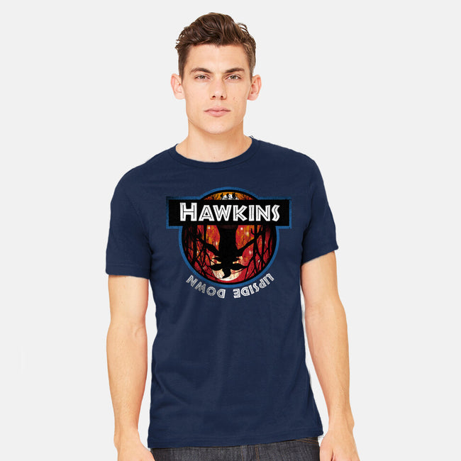 Upside Down State-Mens-Heavyweight-Tee-dandingeroz