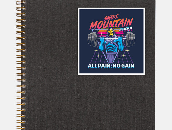 All pain No Gain