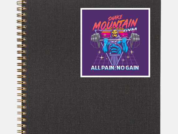 All pain No Gain