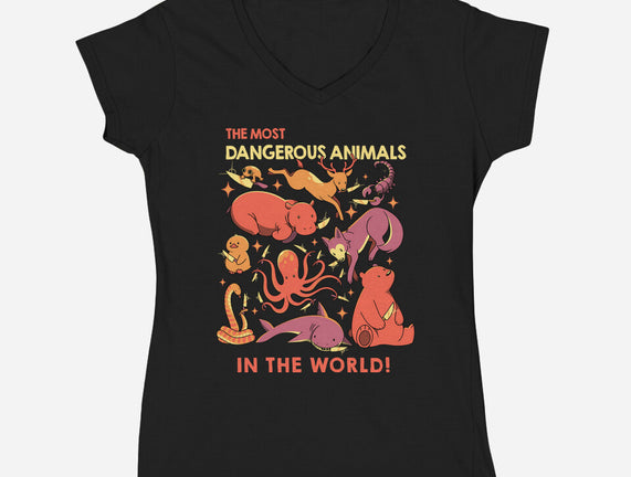 Dangerous Animals That Choose Violence