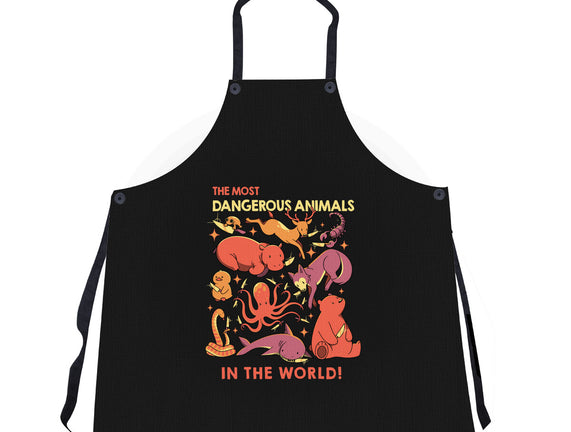 Dangerous Animals That Choose Violence