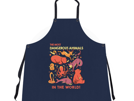 Dangerous Animals That Choose Violence