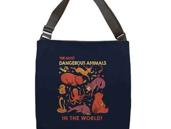 Dangerous Animals That Choose Violence