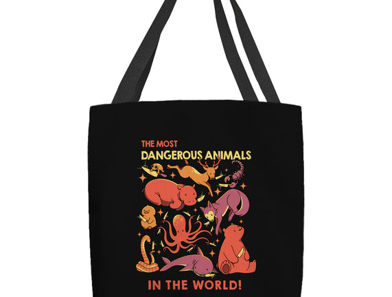 Dangerous Animals That Choose Violence