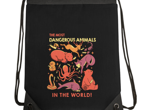 Dangerous Animals That Choose Violence