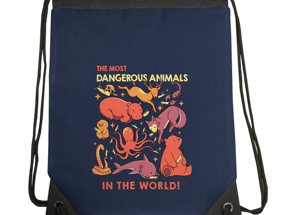 Dangerous Animals That Choose Violence
