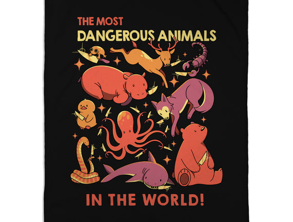 Dangerous Animals That Choose Violence