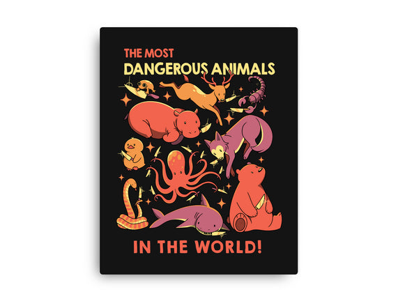 Dangerous Animals That Choose Violence